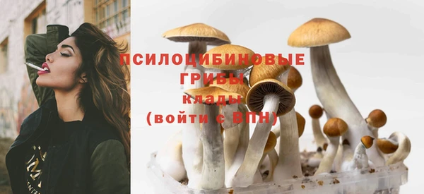 бутират Богданович