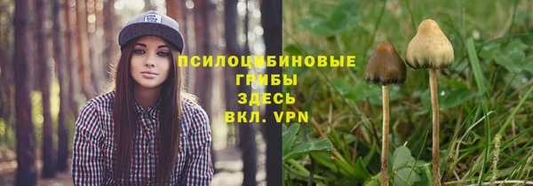 спиды Беломорск