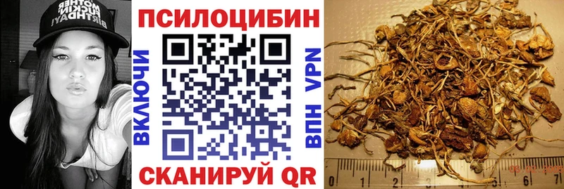 Псилоцибиновые грибы Cubensis  kraken ссылки  Белогорск 